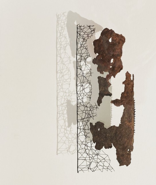 Abstract kunstwerk met roestige metalen vormen en fijnmazige draadstructuren, schaduw op witte achtergrond. (vergroot foto)