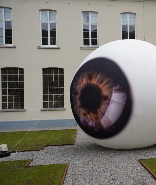 Groot opblaasbaar oog met bruine iris in de binnenhof met gras en grindpad. (vergroot foto)
